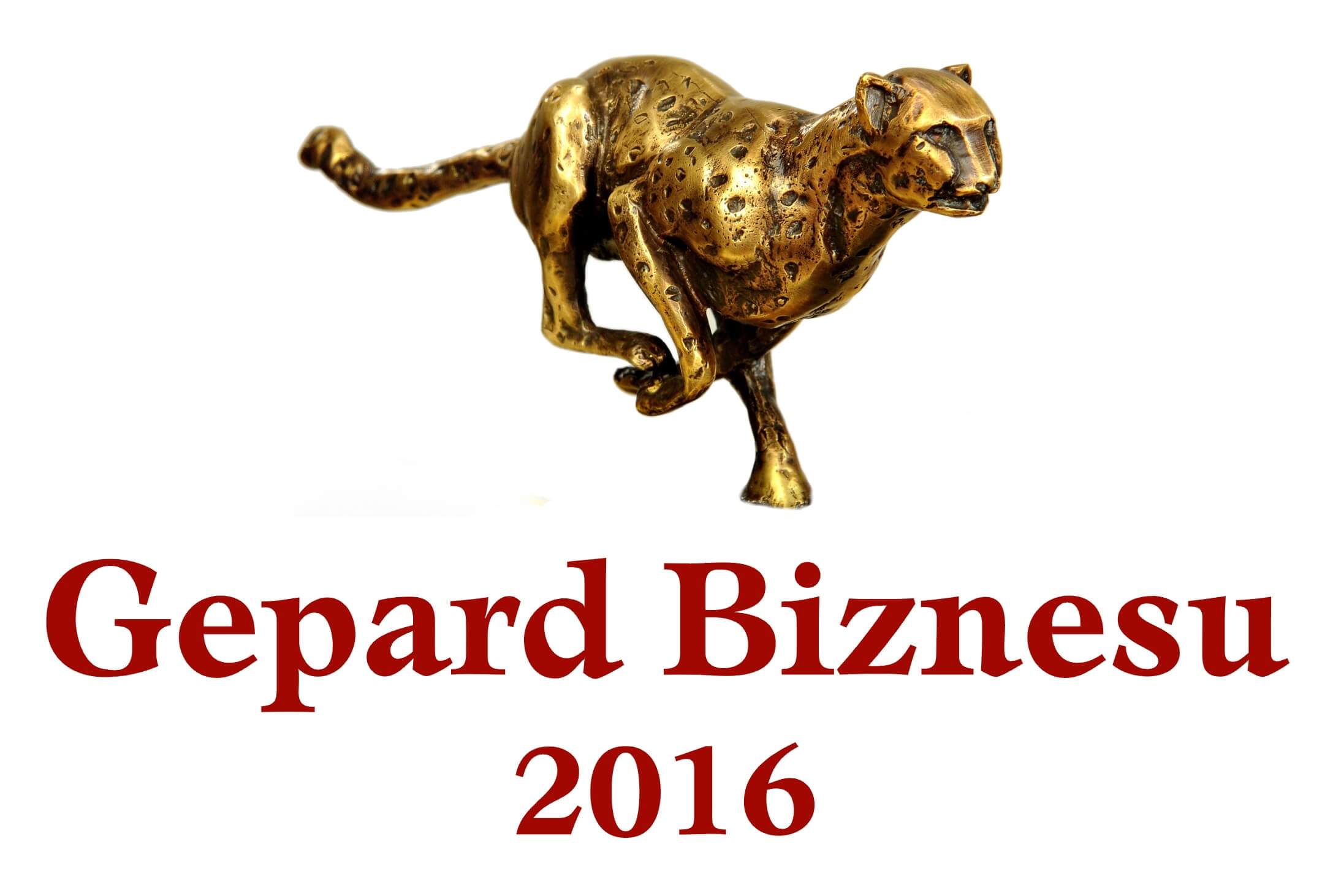 Gepard Biznesu 2016 dla Friday
